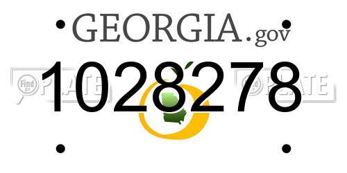 1028278 Georgia License Plate