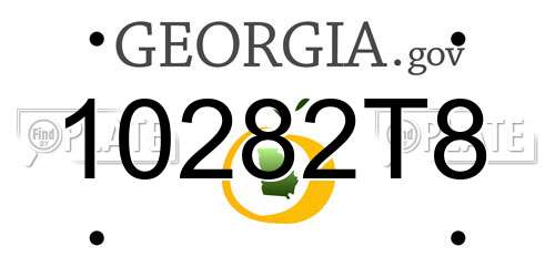 10282T8 Georgia License Plate