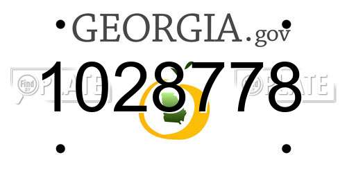 1028778 Georgia License Plate