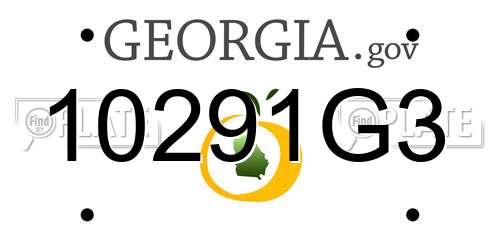 10291G3 Georgia License Plate
