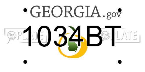 1034BT Georgia License Plate