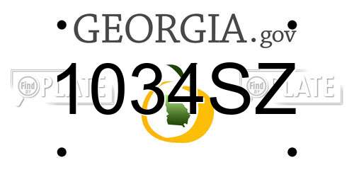 1034SZ Georgia License Plate