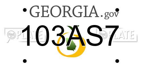 103AS7 Georgia License Plate