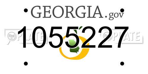 1055227 Georgia License Plate