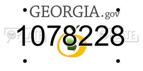 1078228 Georgia License Plate