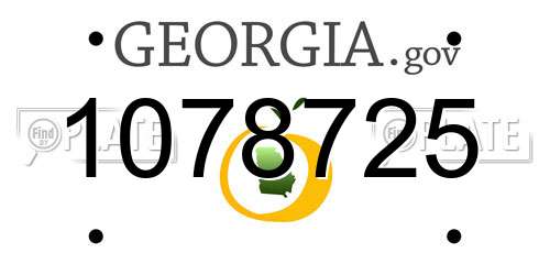 1078725 Georgia License Plate