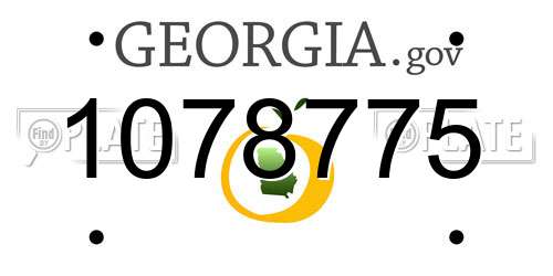 1078775 Georgia License Plate