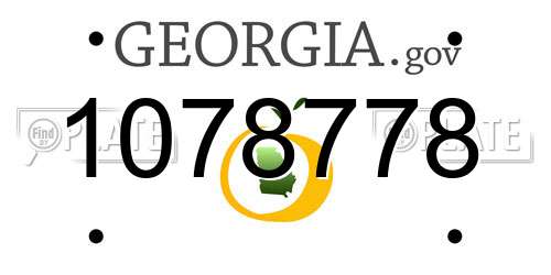 1078778 Georgia License Plate