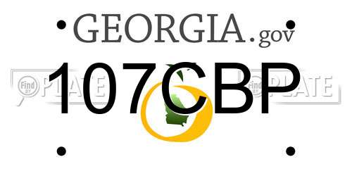 107CBP Georgia License Plate