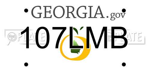 107LMB Georgia License Plate