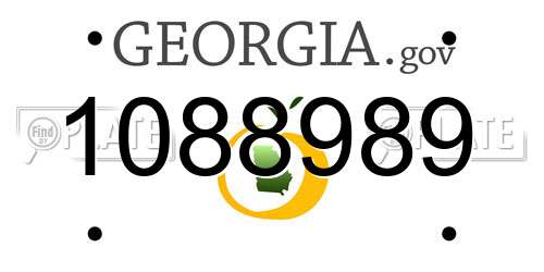 1088989 Georgia License Plate