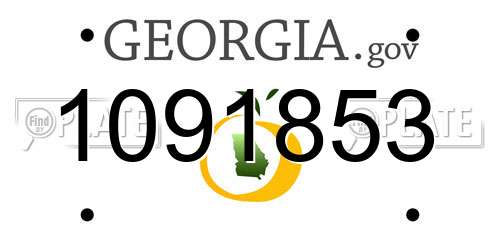 1091853 Georgia License Plate