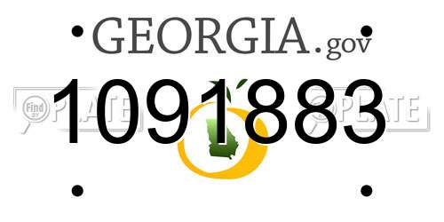1091883 Georgia License Plate