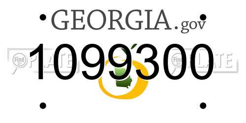 1099300 Georgia License Plate
