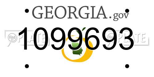 1099693 Georgia License Plate