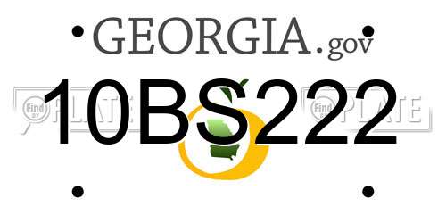 10BS222 Georgia License Plate