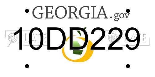 10DD229 Georgia License Plate