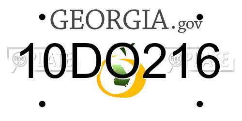 10DO216 Georgia License Plate