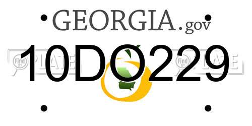 10DO229 Georgia License Plate