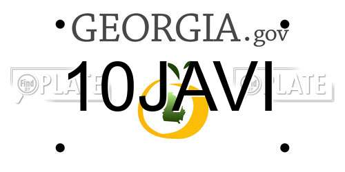 10JAVI Georgia License Plate