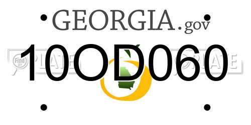 10OD060 Georgia License Plate