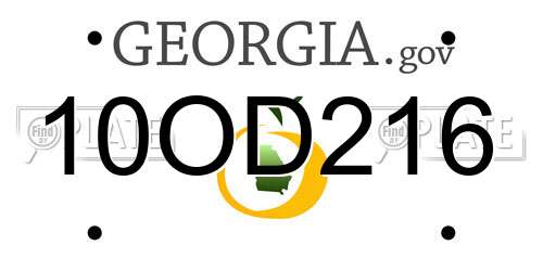 10OD216 Georgia License Plate
