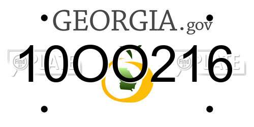 10OO216 Georgia License Plate