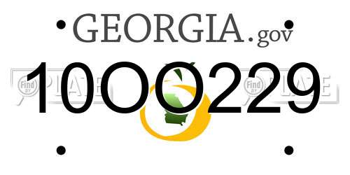 10OO229 Georgia License Plate