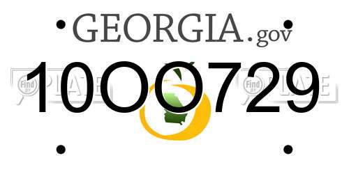 10OO729 Georgia License Plate