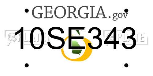 10SE343 Georgia License Plate