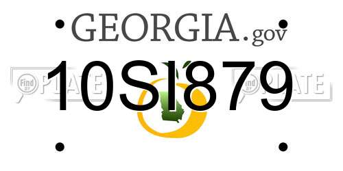 10SI879 Georgia License Plate