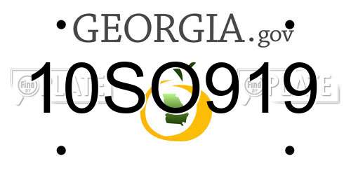 10SO919 Georgia License Plate