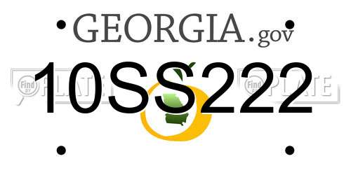 10SS222 Georgia License Plate