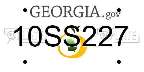 10SS227 Georgia License Plate
