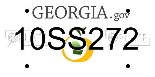 10SS272 Georgia License Plate