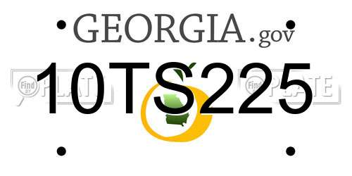 10TS225 Georgia License Plate