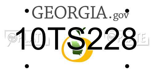 10TS228 Georgia License Plate