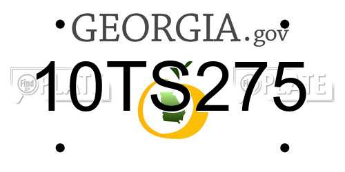 10TS275 Georgia License Plate