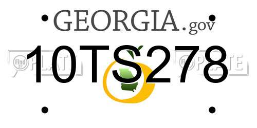 10TS278 Georgia License Plate
