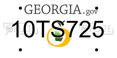 10TS725 Georgia License Plate