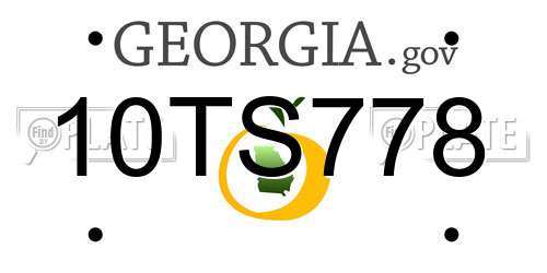 10TS778 Georgia License Plate