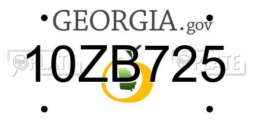 10ZB725 Georgia License Plate