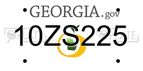 10ZS225 Georgia License Plate