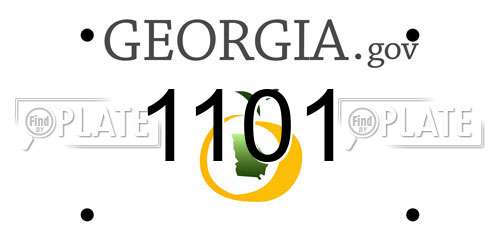 1101 Georgia License Plate
