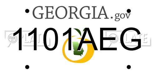 1101AEG Georgia License Plate
