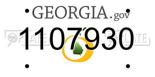 1107930 Georgia License Plate