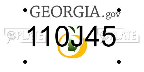 110J45 Georgia License Plate