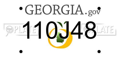 110J48 Georgia License Plate