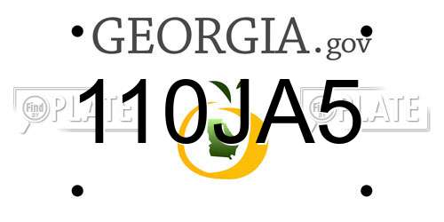 110JA5 Georgia License Plate