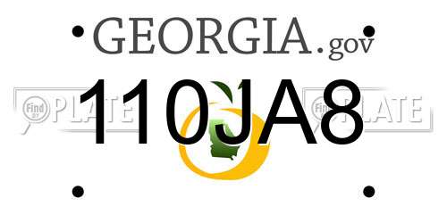 110JA8 Georgia License Plate